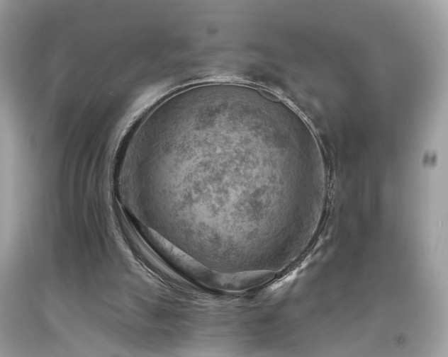 X0000092030055200709061623