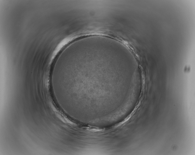 X0000092030056200709061623