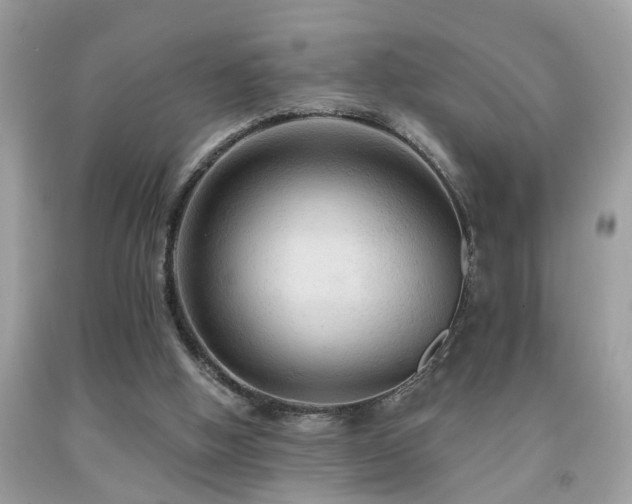 X0000092030058200709061623