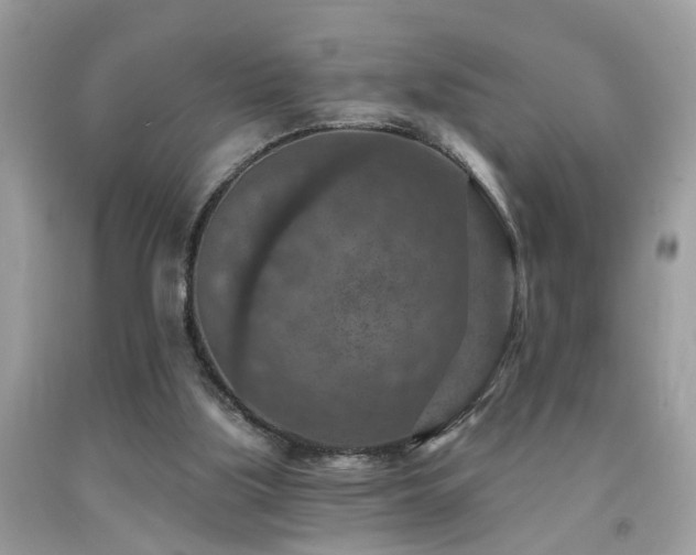 X0000092030059200709061623