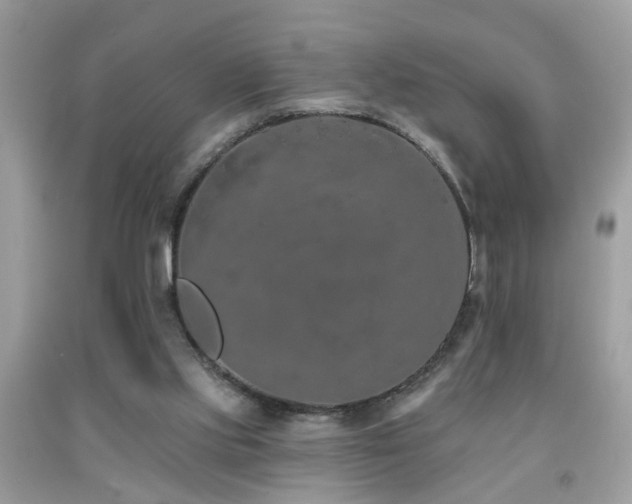 X0000092030061200709061623