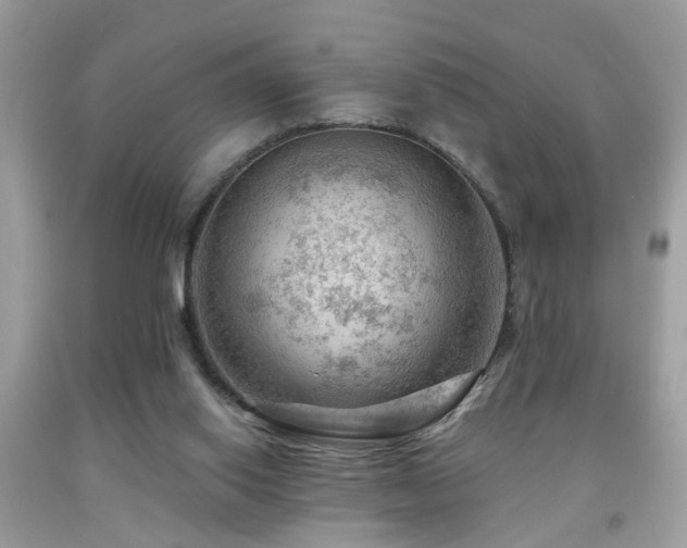 X0000092030062200709061623