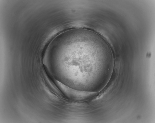 X0000092030063200709061623