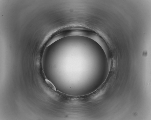 X0000092030064200709061623