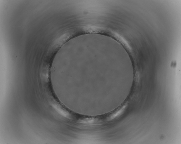 X0000092030065200709061623