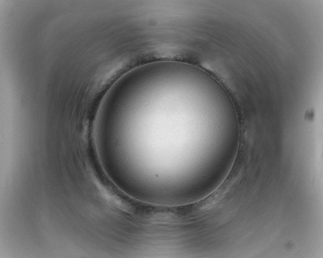 X0000092030066200709061623