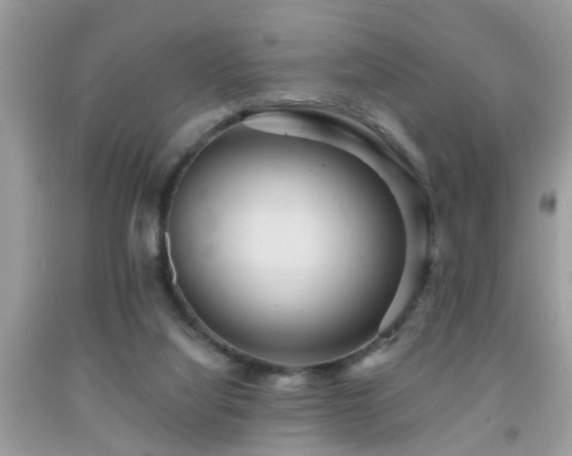 X0000092030068200709061623