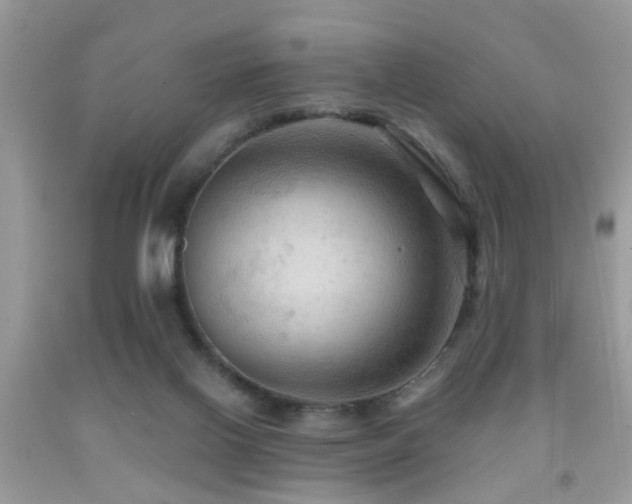 X0000092030070200709061623