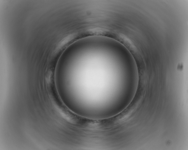 X0000092030071200709061623