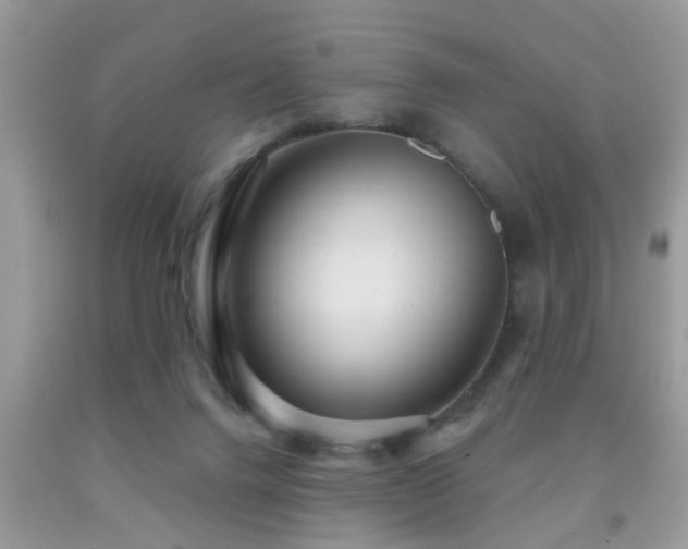X0000092030072200709061623