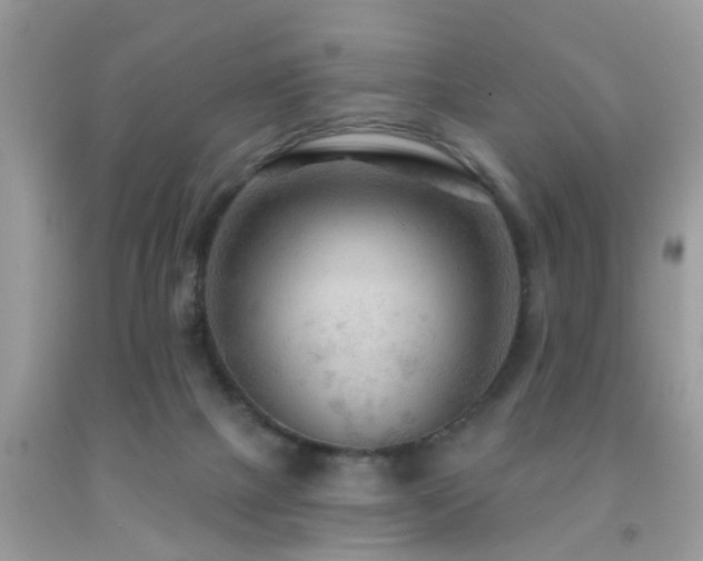 X0000092030073200709061623
