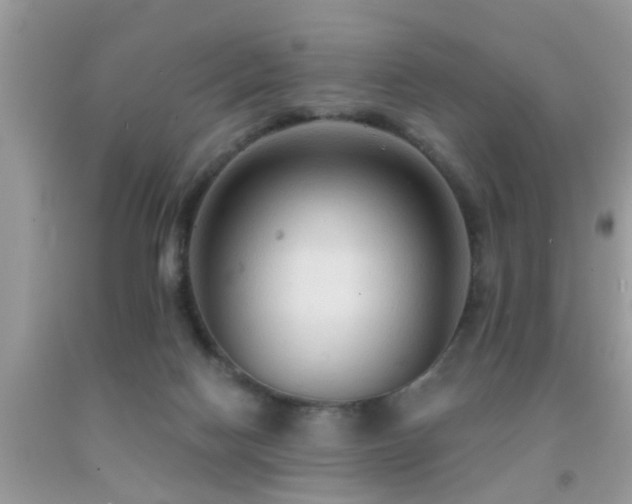 X0000092030074200709061623