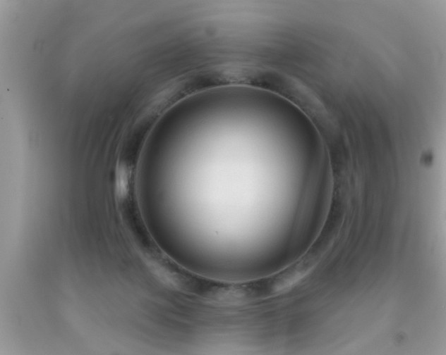X0000092030075200709061623