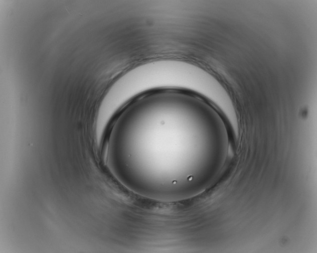 X0000092030076200709061623