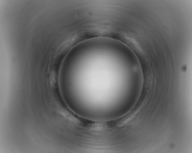 X0000092030077200709061623