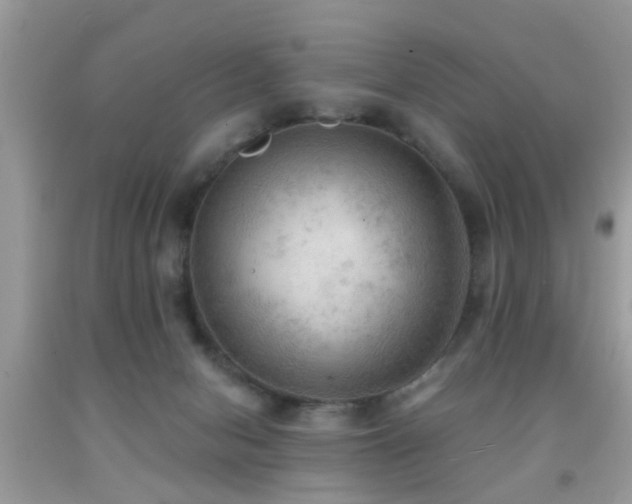 X0000092030078200709061623