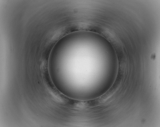 X0000092030079200709061623