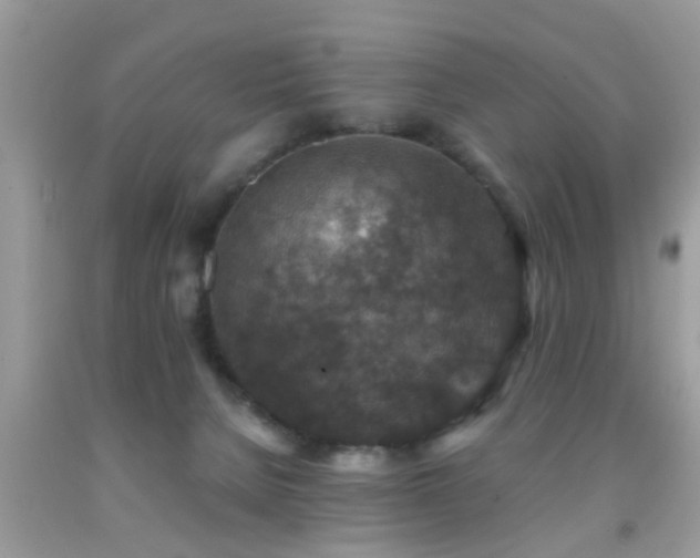 X0000092030080200709061623