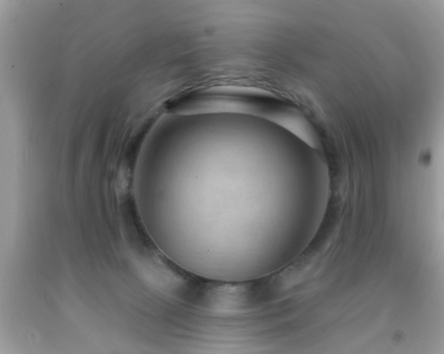 X0000092030081200709061623