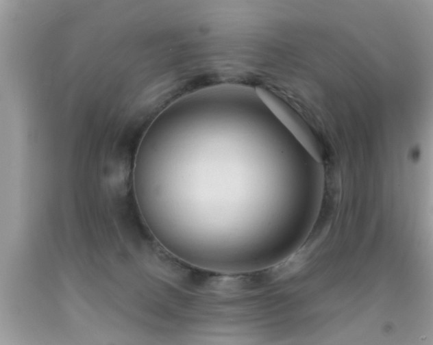 X0000092030082200709061623