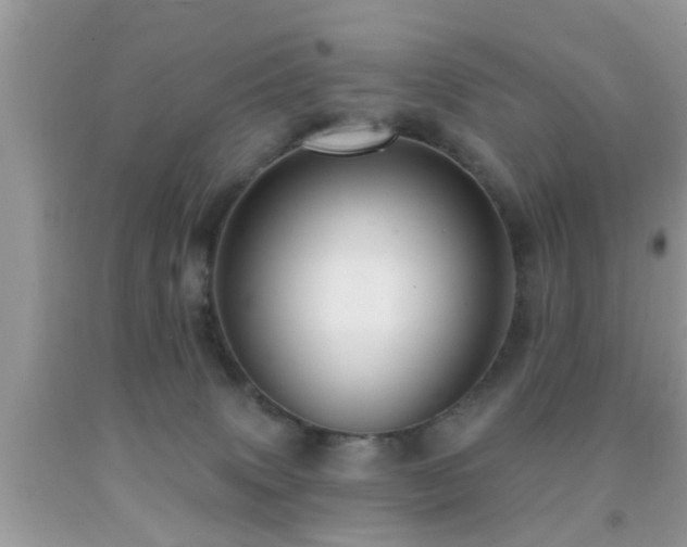X0000092030083200709061623