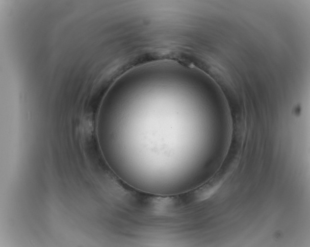 X0000092030085200709061623