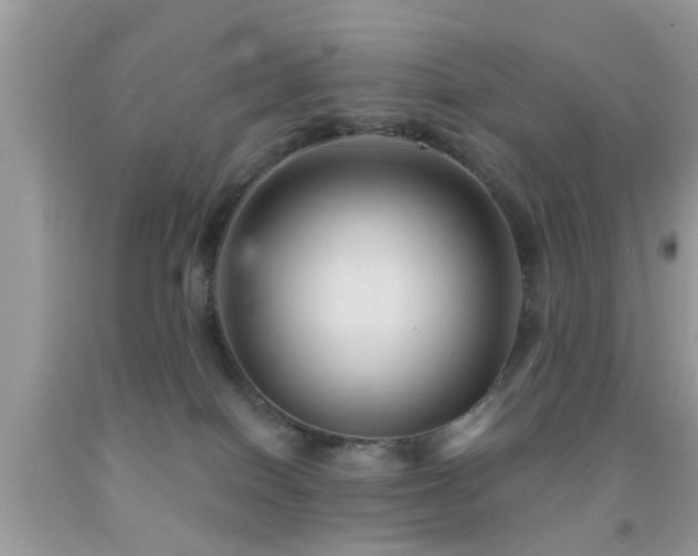 X0000092030086200709061623