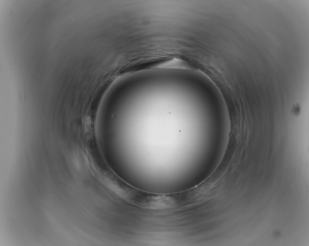X0000092030087200709061623