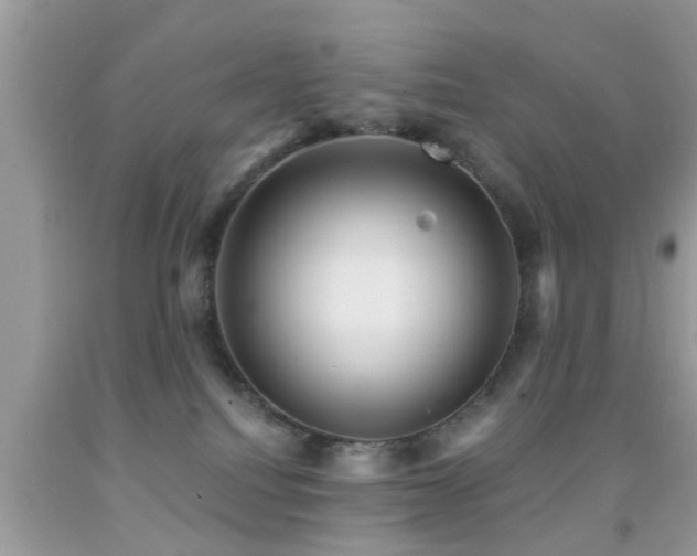 X0000092030088200709061623