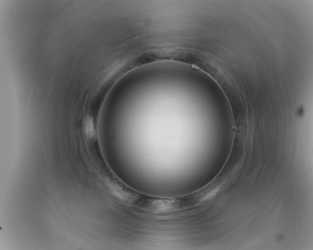 X0000092030089200709061623