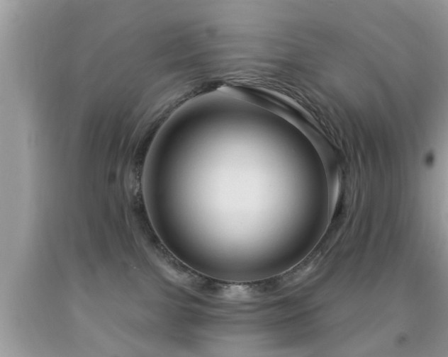 X0000092030091200709061623