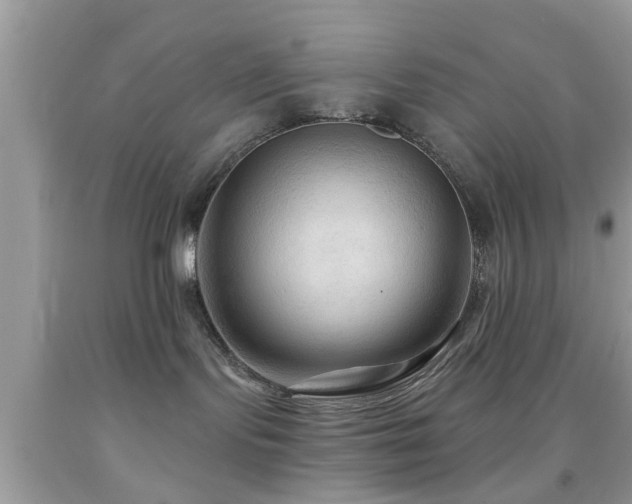 X0000092030095200709061624