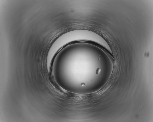 X0000092030096200709061624