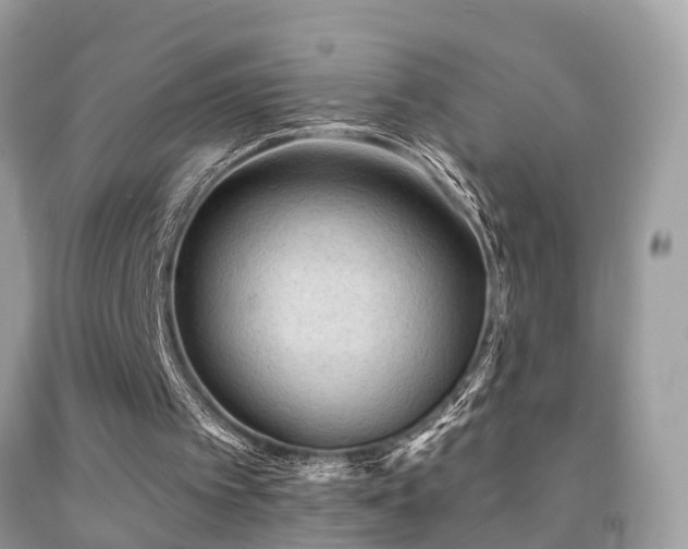 X0000092030097200709061623