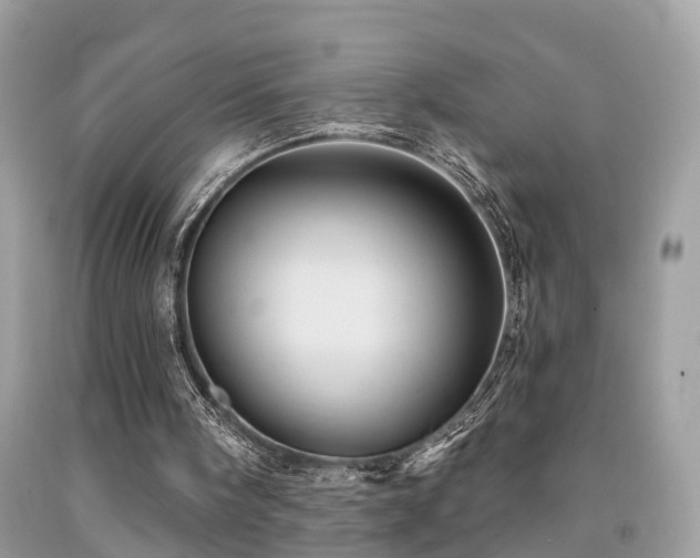X0000092030098200709061623