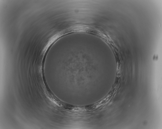 X0000092030099200709061623