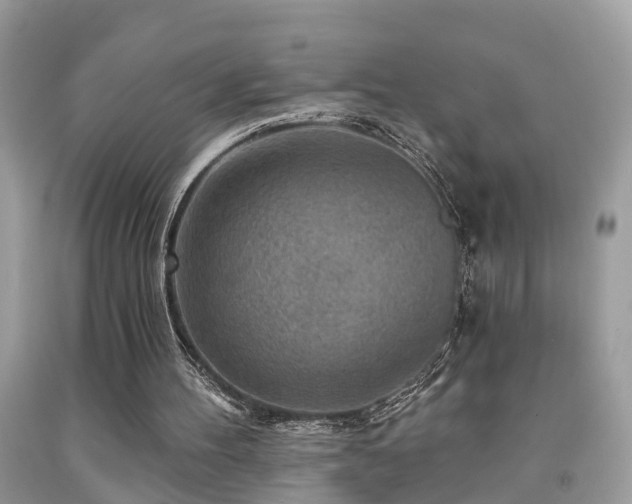 X0000092030100200709061623