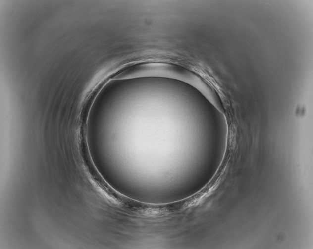 X0000092030101200709061623
