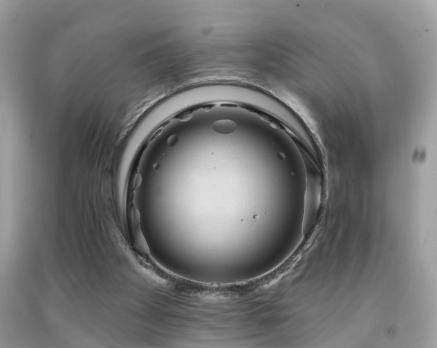 X0000092030105200709061623