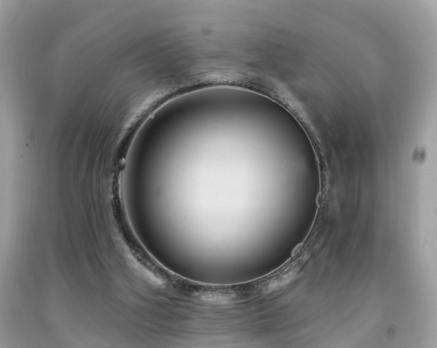 X0000092030106200709061623