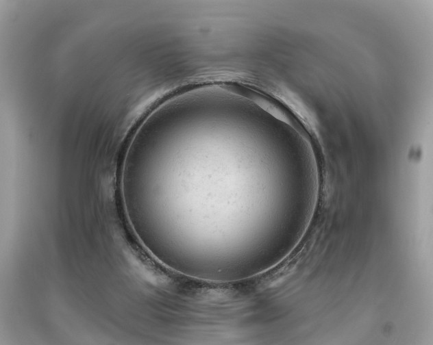 X0000092030107200709061623