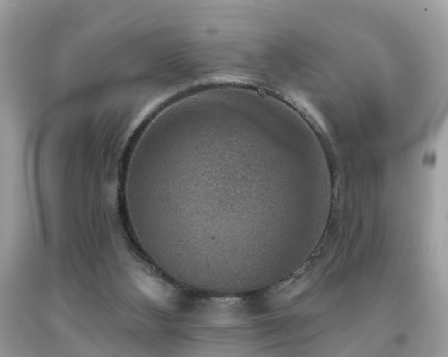 X0000092030108200709061623
