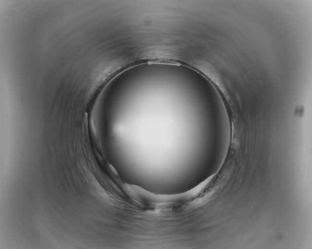 X0000092030109200709061623