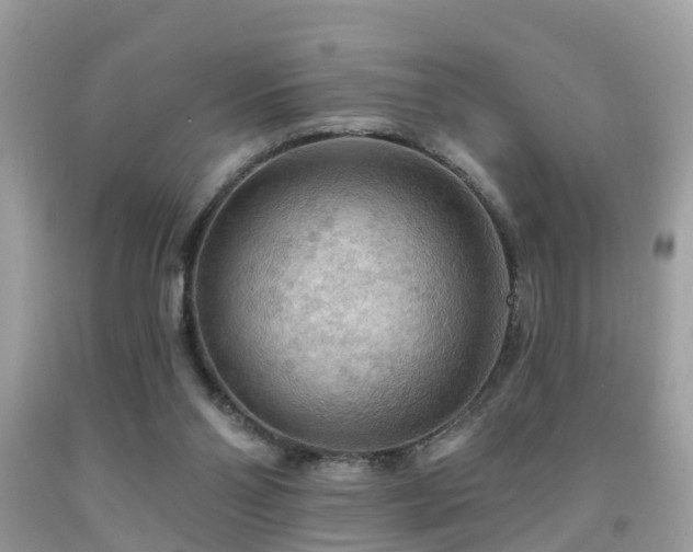 X0000092030110200709061623