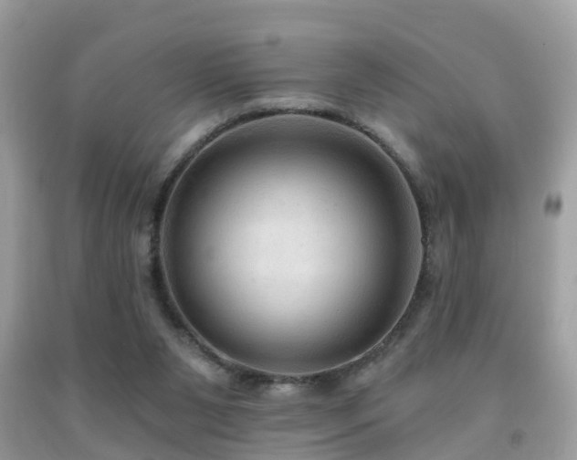 X0000092030111200709061623