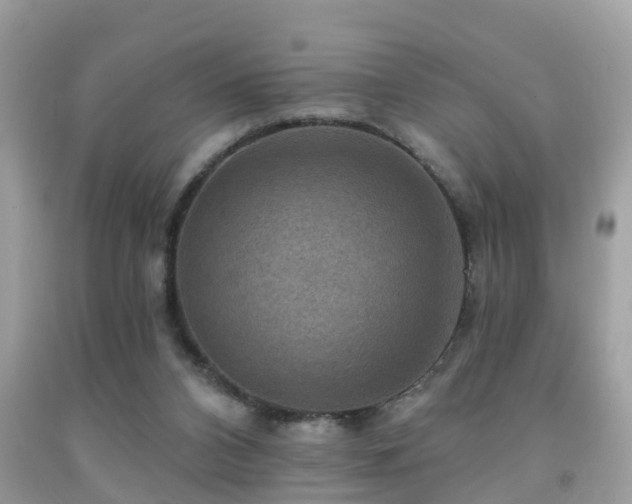 X0000092030112200709061623