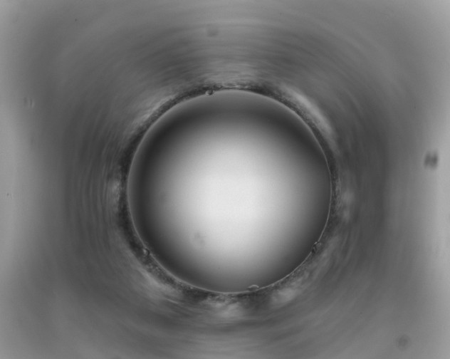 X0000092030113200709061623