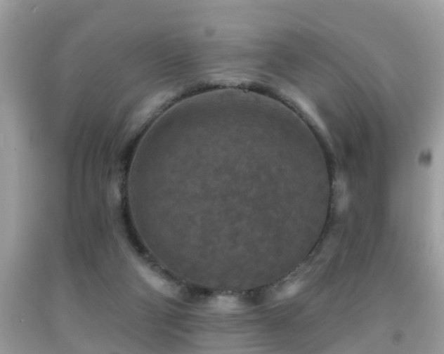 X0000092030114200709061623