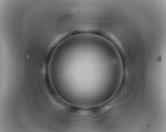 X0000092030115200709061623
