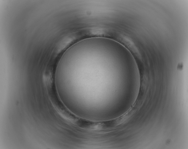 X0000092030116200709061623